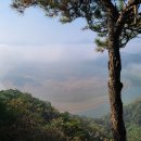 9월 구절초축제(정읍) 그리고 옥정호산행 이미지