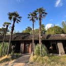 내별장 | [제주 서귀포시 카페 : 중문별장] 커피 오마카세 내돈내산 후기