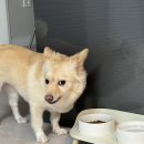 승미미용재료 | 24년 8월