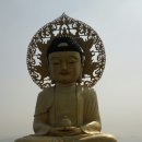 동우약국 이미지