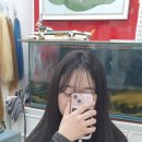 우아지다붙임머리 | 인천붙임머리잘하는곳 추천 무찌마헤어 다녀온후기