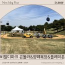 8월 30일 일요일 "홍천 소노벨 비발디 파크 골프장" 곤도라 타고 갑니다 이미지