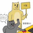 쿠린