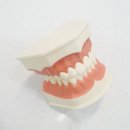 이층플란트치과의원 이미지