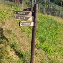 양지사거리체육공원 이미지