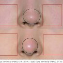 스프링의원 이미지