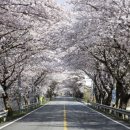 허브샘