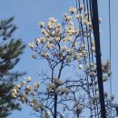 (주)고귀 이미지