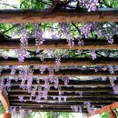 덕유산(상)휴게소 이미지