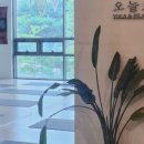 요앤필 필라테스&요가 이미지