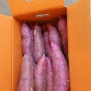 명지농장 이미지