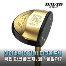브라운파크 | 파크골프 입문 고민 끝 데이비드 DP101 브라운 MEN 파크골프채 솔직 후기 추천