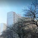 철산동 주공13단지 1313동 앞 | 노후 계획도시 특별법과 광명시 재건축의 핵심, 광명시 하안동 주공 아파트 단지별 사업성 및 입지 분석