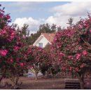 우종은농장 이미지