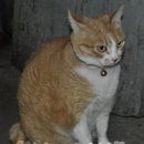 대흥상회 이미지