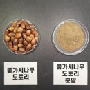 국립산림과학원, &#39;상록성 참나무 도토리&#39; 껍질 추출 이미지