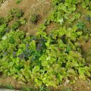 양평펜션 산야로 이미지