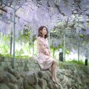 등나무집민박 이미지