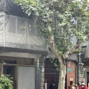 (주)삼아인터내셔날 | 중국 상하이 여행 [251103-1107] 2일차 Shanghai, China