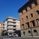 D00145 | 노랑풍선 서유럽 6박 8일 패키지 후기_3 :: 이탈리아 로마에서 2일차(바티칸박물관/벤투어/트레비분수...