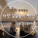 심심풀이 | 반려견과 프라이빗한 캠핑 느낌 가평 애견동반 독채 펜션 ‘심심풀이 펜션’ 커플 B동 후기