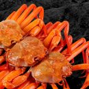 구룡포대게 이미지