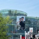 메리아일랜드 | 세빛섬플로팅아일랜드 아이폰 스냅 촬영 후기 _ 메리블로썸스냅