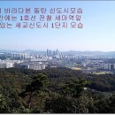 대지