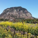 이상윤농장 이미지