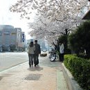 덕진구청 이미지