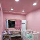 펫미리애견샵 이미지