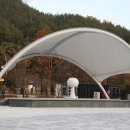 버섯랜드 이미지