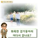 행정사이종보사무소 이미지