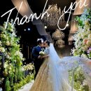 올로르 | W15. 아이폰스냅“올로르스냅” 본식 후기📱