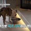 두림건축사사무소 이미지