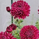 초월고등학교 이미지