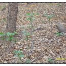 대열농장 이미지