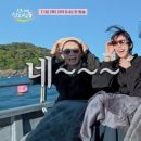 안산지 뉴스엔