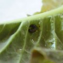 마포관광농원 이미지