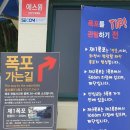 서광자동차랜드 이미지