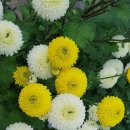 부여(사비)-08 이미지