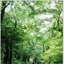 서리풀공원 이미지