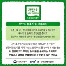 진산대로L | 저탄소/gap 인증 농산물 창원 부유단감 엄지 척!
