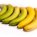 운동할 때 바나나 먹었더니, 근육의 변화가? 이미지