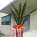 법무법인덕송 - 평택시 평남로 1033 | 법무법인덕송