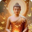 10년 넘게 안 낫던 피부병, 염불로 고쳤습니다! 이미지