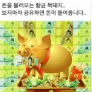 황금돼지 Daum카페
