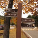 성호로공원 이미지