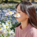 계명대 하늘채 태권도장 이미지