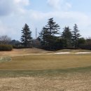 테디밸리CC 이미지